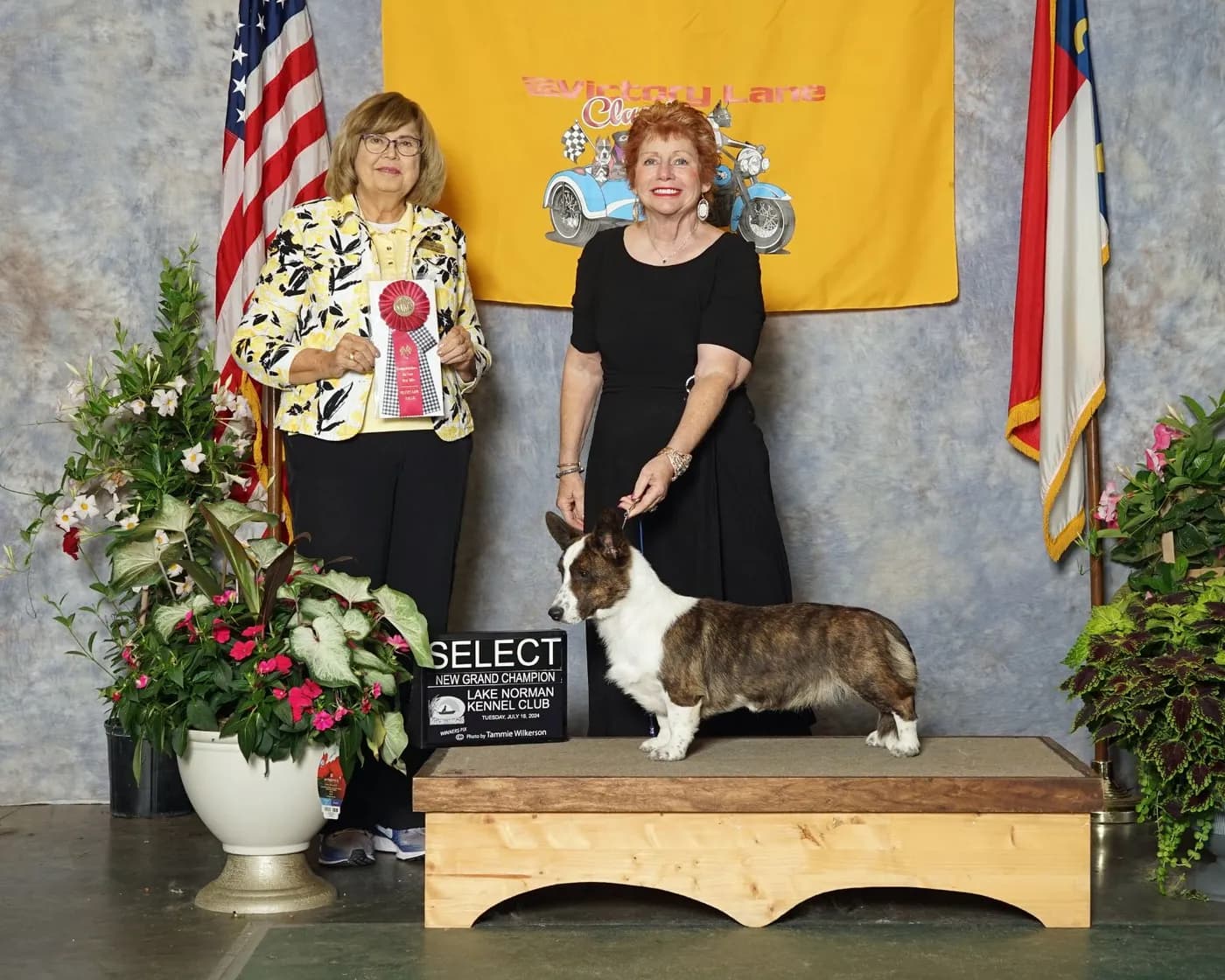 Day, a grand champion Cardigan Welsh Corgi