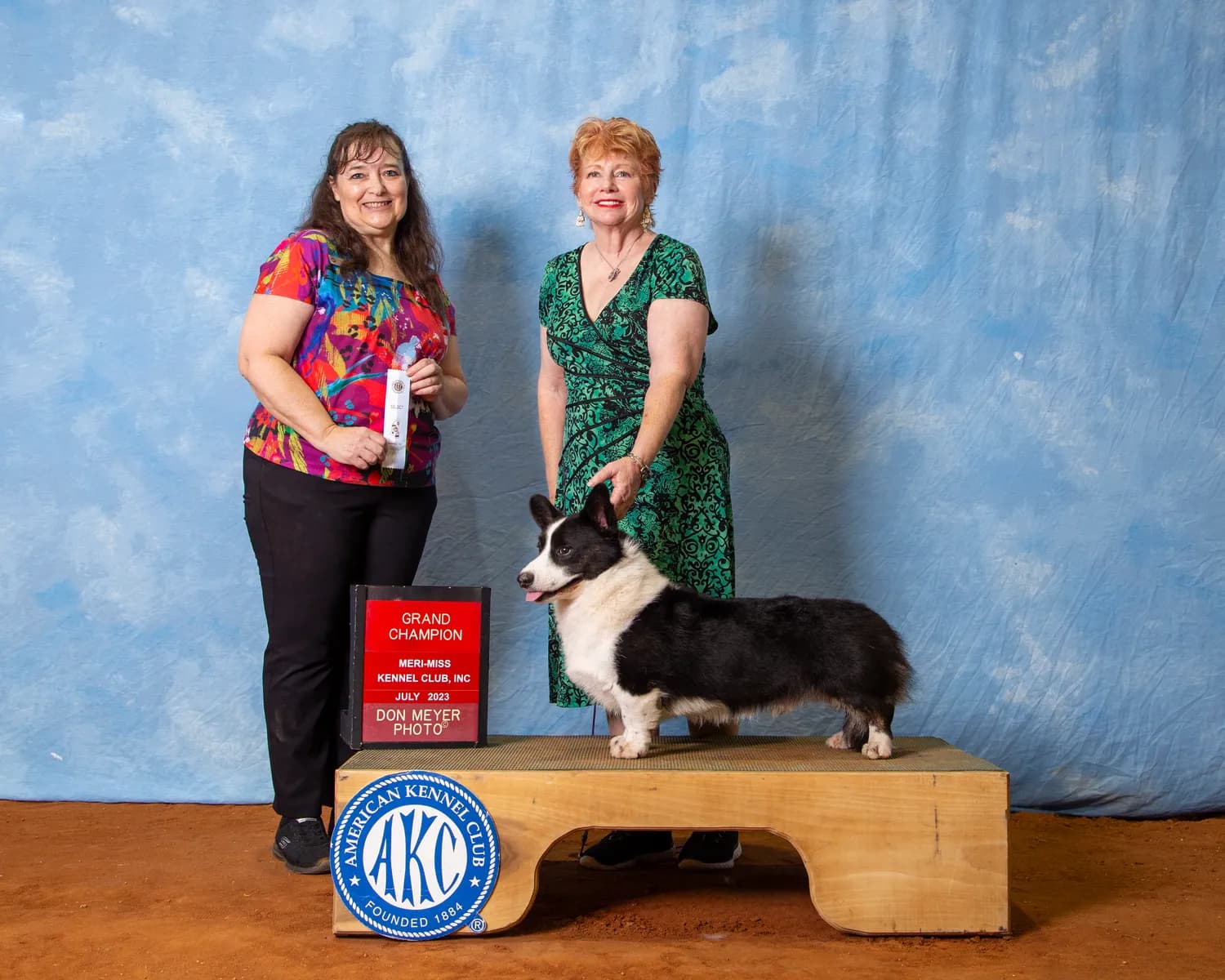 Elvis, a grand champion Cardigan Welsh Corgi