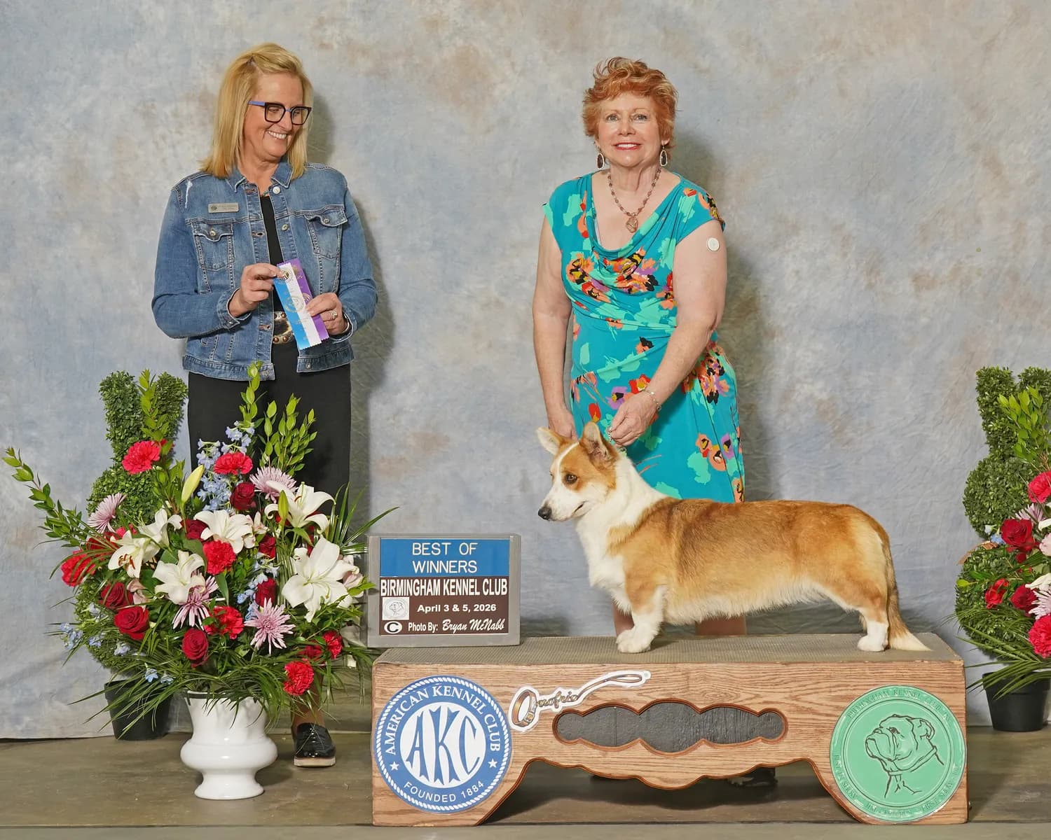 Sriracha, a Pondside Cardigan Welsh Corgi